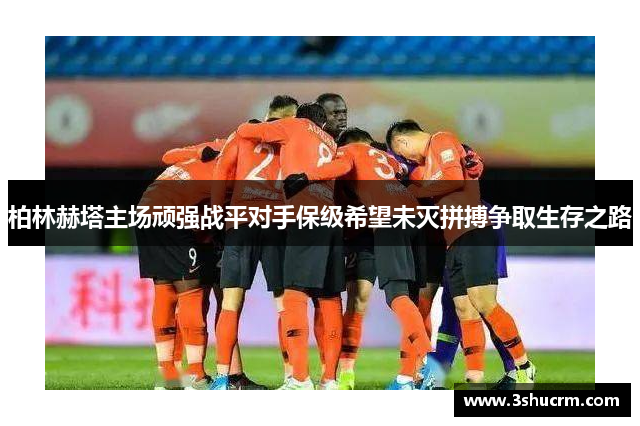 柏林赫塔主场顽强战平对手保级希望未灭拼搏争取生存之路