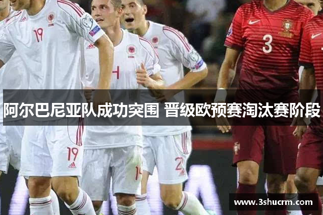 阿尔巴尼亚队成功突围 晋级欧预赛淘汰赛阶段