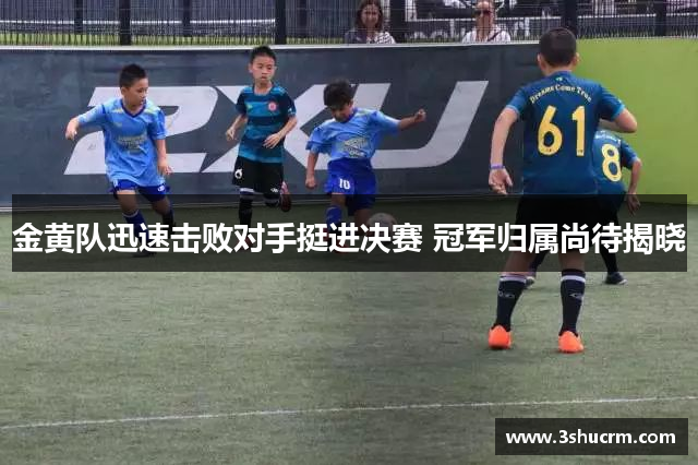 金黄队迅速击败对手挺进决赛 冠军归属尚待揭晓