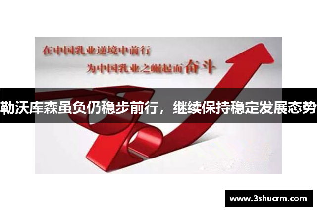 勒沃库森虽负仍稳步前行，继续保持稳定发展态势