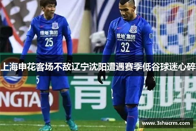 上海申花客场不敌辽宁沈阳遭遇赛季低谷球迷心碎