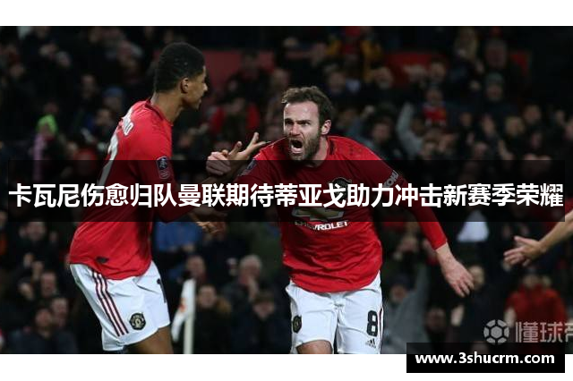 卡瓦尼伤愈归队曼联期待蒂亚戈助力冲击新赛季荣耀