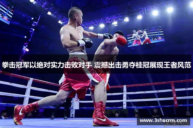 拳击冠军以绝对实力击败对手 震撼出击勇夺桂冠展现王者风范