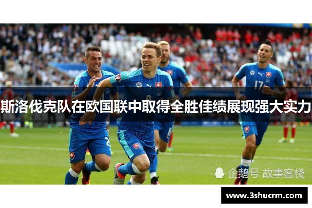 斯洛伐克队在欧国联中取得全胜佳绩展现强大实力