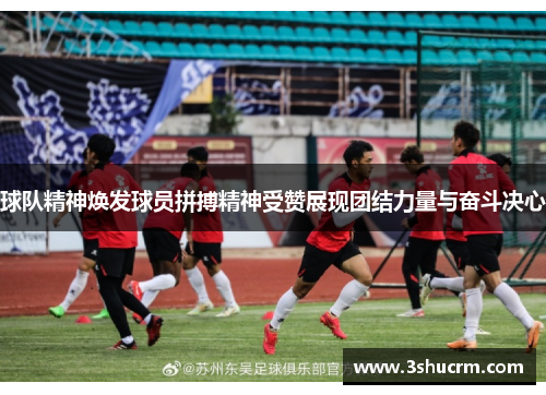 球队精神焕发球员拼搏精神受赞展现团结力量与奋斗决心