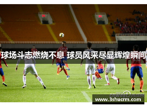 球场斗志燃烧不息 球员风采尽显辉煌瞬间