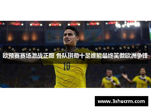 欧预赛赛场激战正酣 各队拼劲十足谁能最终笑傲欧洲争锋