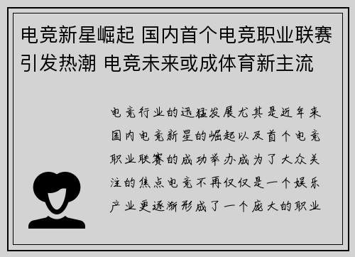 电竞新星崛起 国内首个电竞职业联赛引发热潮 电竞未来或成体育新主流