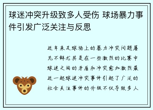 球迷冲突升级致多人受伤 球场暴力事件引发广泛关注与反思